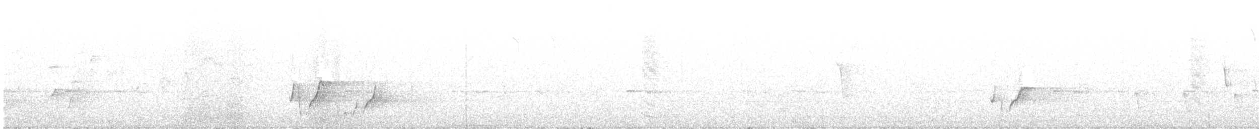 hvitsmykkehonningeter - ML612916710