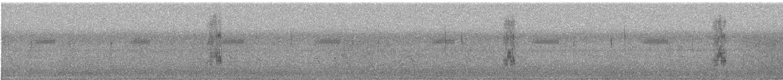 ハイイロハッカ - ML612916814