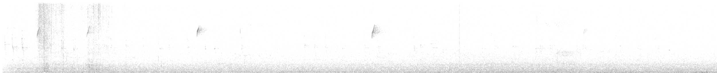 フユミソサザイ - ML612918445