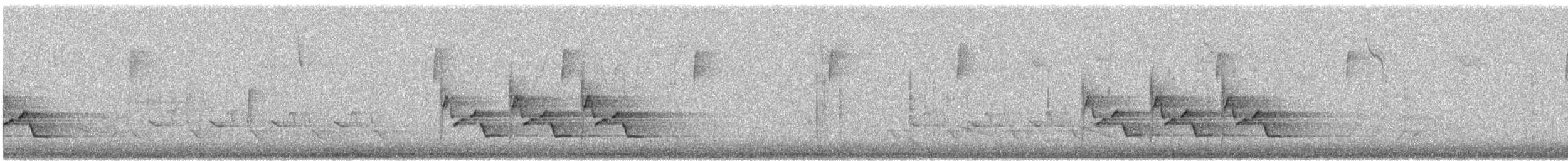 Поплітник каролінський - ML612921183