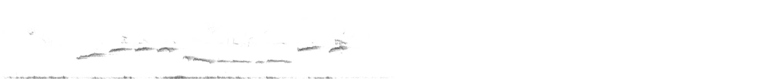 White-throated Sparrow - ML612922971