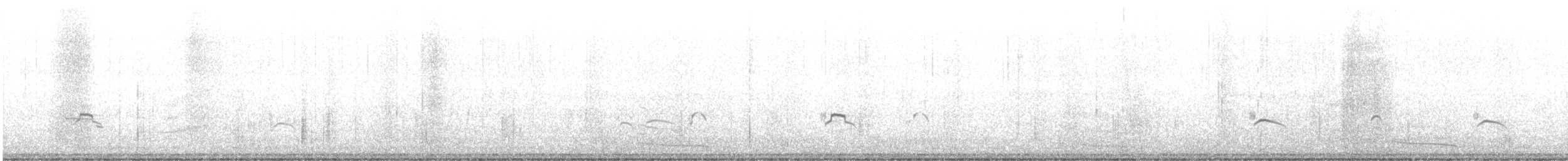 Marbled Murrelet - ML612924668