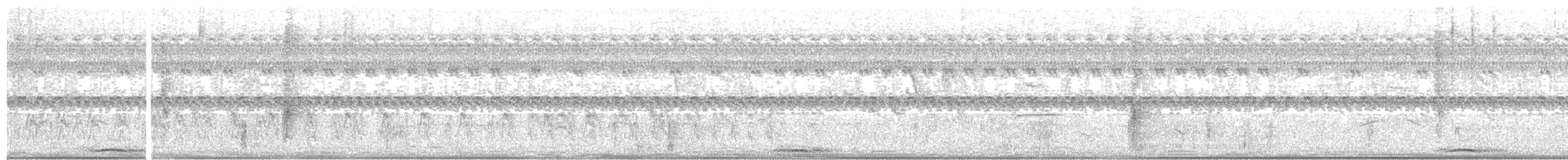 אנפית-גמדית אמריקנית - ML612927812