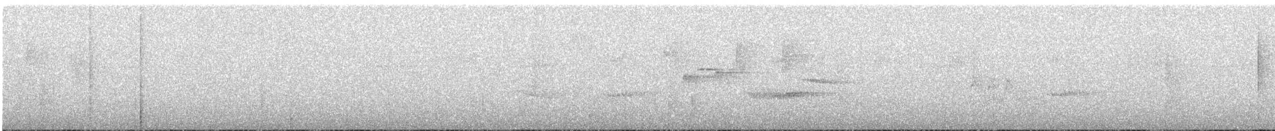 キタツグミマイコドリ - ML612928450