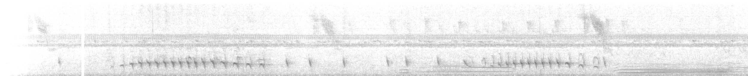 Fleckenbrust-Ameisenfänger - ML612928612