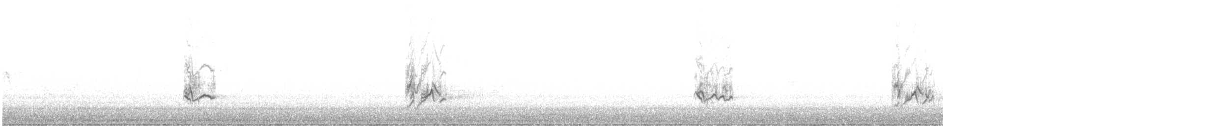 Amerika Çütresi (californicus) - ML612932283