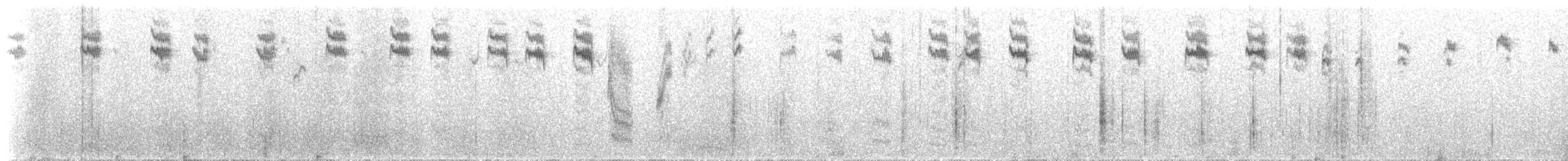 Tohi à nuque claire - ML612932295