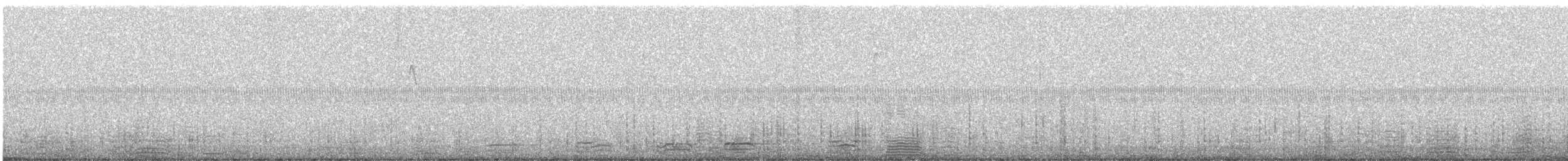 Kulaklı Karabatak - ML612935239