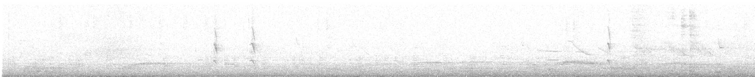 Chilespottdrossel - ML612938650
