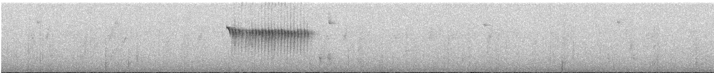 Percefleur à flancs blancs - ML612938838