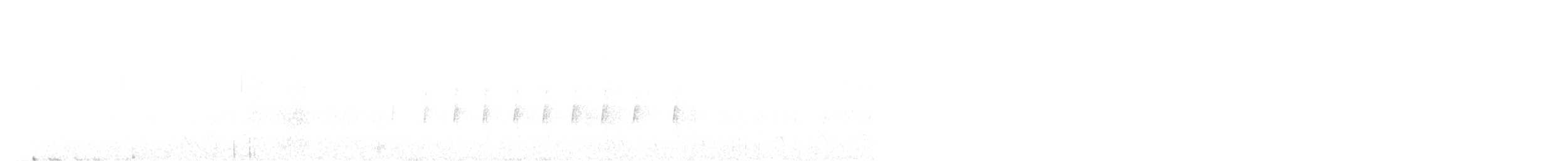 Tyranneau à gorge blanche - ML612939590