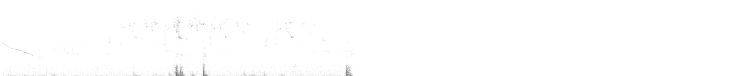 Grauschwanz-Dickichtschlüpfer - ML612940028