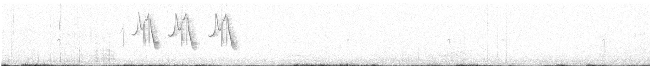 Band-tailed Sierra Finch - ML612943020