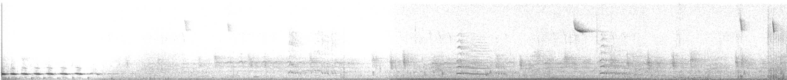 Дятел-смоктун білочеревий - ML612943408