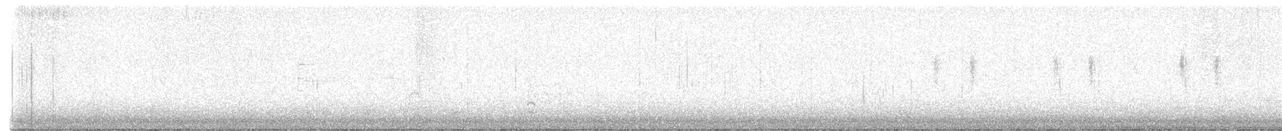 Американская лысуха (Red-shielded) - ML612944199
