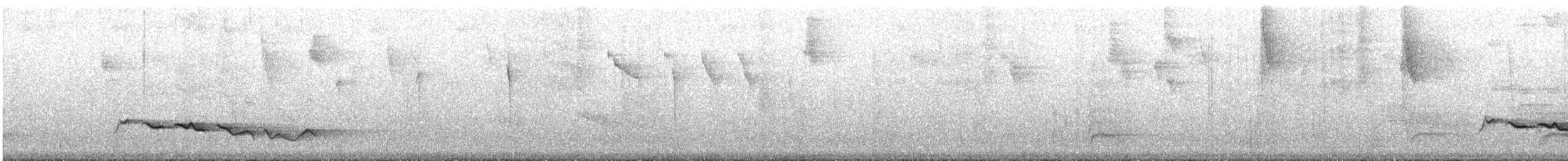 Kara Gagalı Koca Vireo - ML612946677