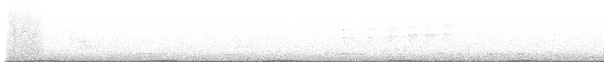 holub bronzovokřídlý - ML612948309