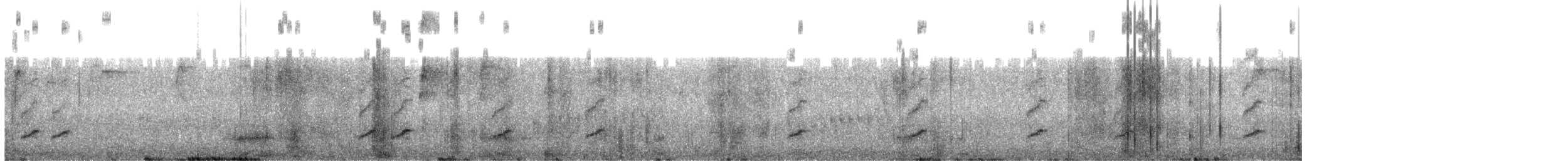 Тасманийскый радужник - ML612949828