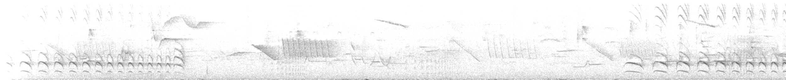 Rostscheitel-Ameisenwürger - ML612952233