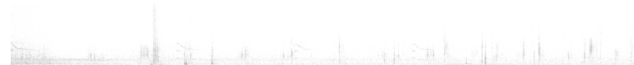 Дятел-смоктун білочеревий - ML612953737