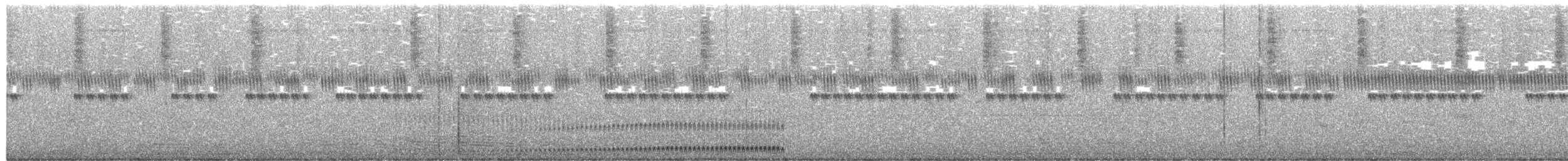 Weißbrusttapaculo - ML612954702