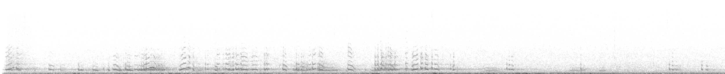 dvergsvane (columbianus) - ML612955476