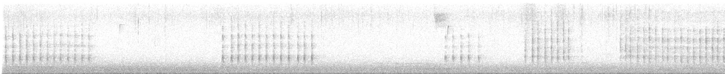 Kolyeli Yalıçapkını (torquata/stictipennis) - ML612955491
