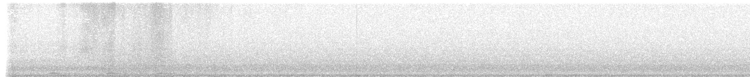 Сова плямиста - ML612956131