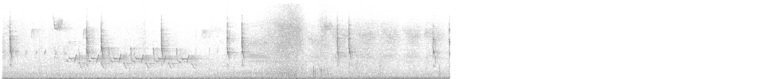 フユミソサザイ - ML612958670