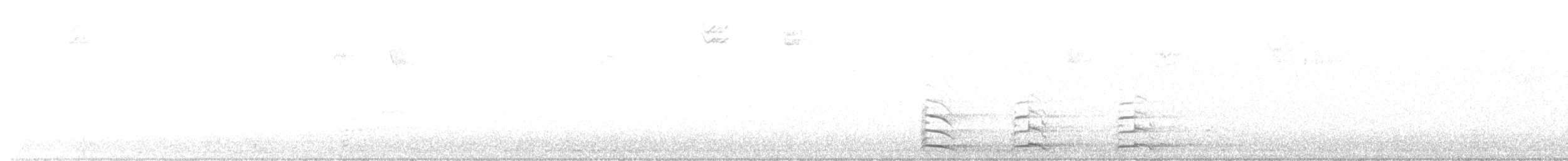 Gaviota Occidental x de Bering (híbrido) - ML612960391