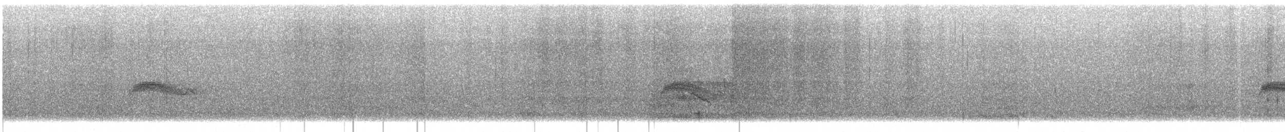 Western Wood-Pewee - ML612968440