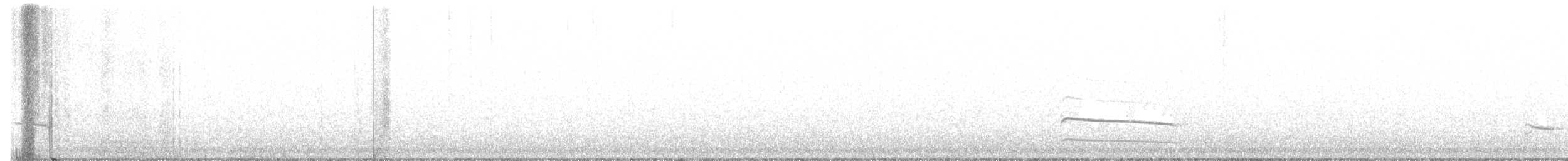 křepelka čínská - ML612972642