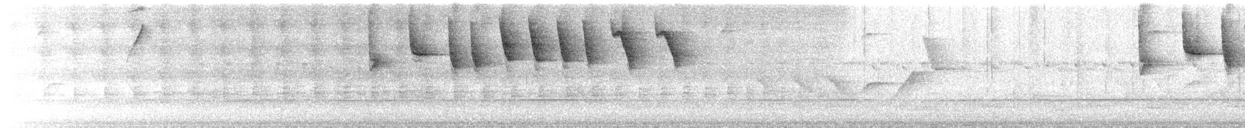 Gelbschnabel-Buschammer (flavirostris) - ML612974918