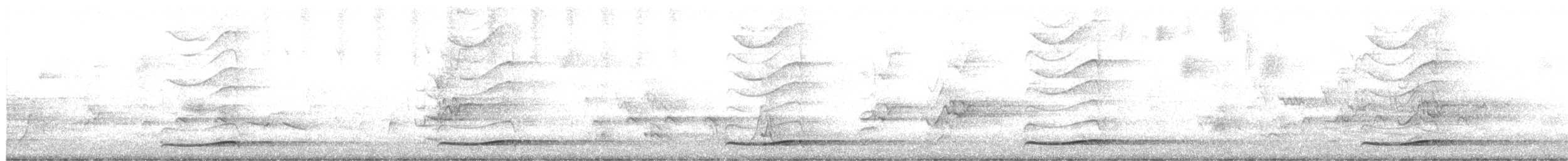 Тихоокеанский коэль - ML612976183