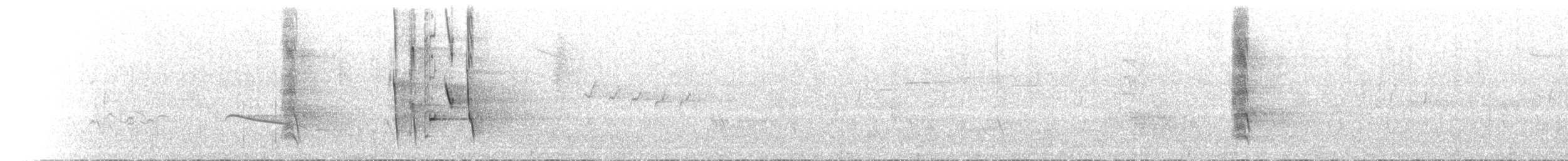 Kara Yakalı Balkuşu - ML612976220