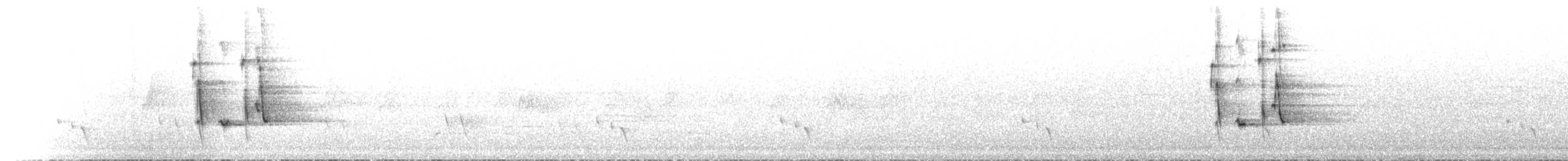 Kara Yakalı Balkuşu - ML612976284