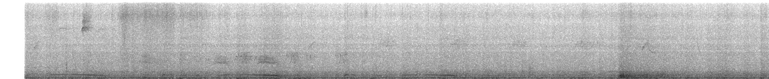 holub neotropický - ML612976452