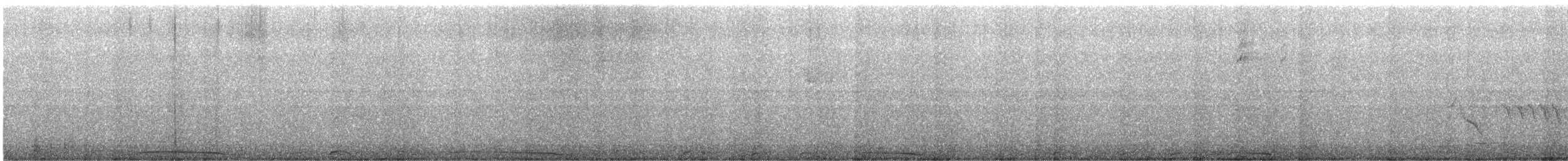 holub neotropický - ML612976453