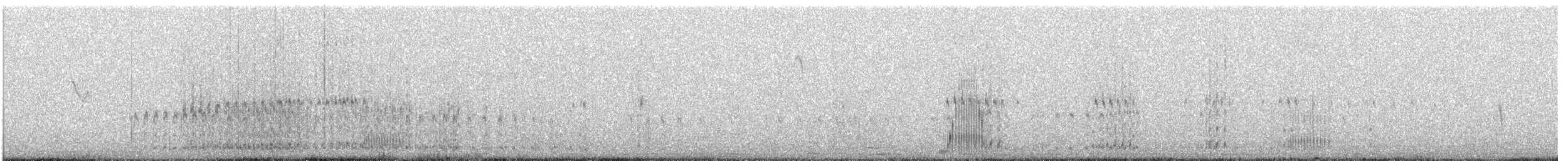 Гологлазая земляная горлица - ML612976726