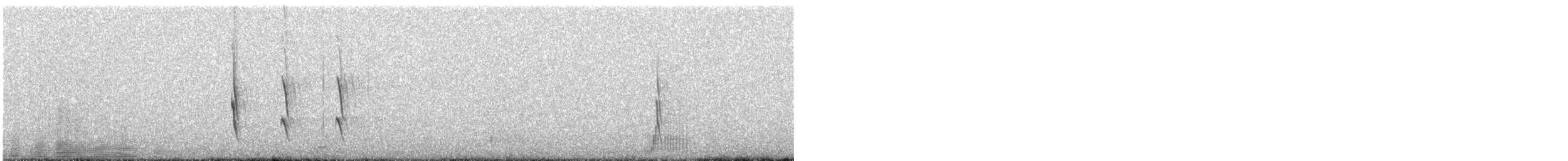 Землекоп світлочеревий - ML612976745