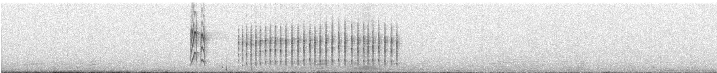 Taurillon roitelet - ML612976754