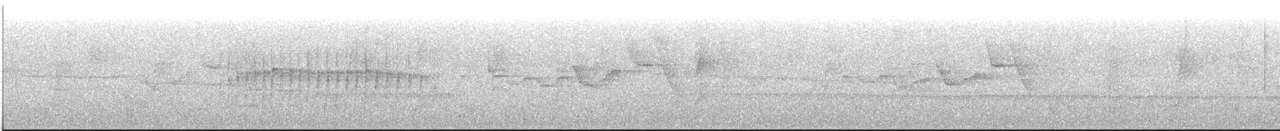 Остроклювый акробат - ML612978345