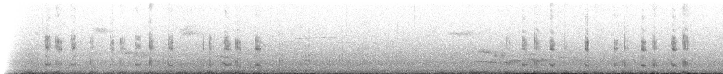 Gallinule de Tasmanie - ML612978715