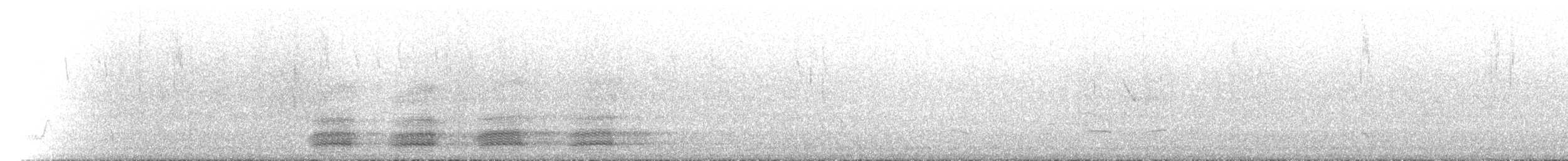 Тасманийский ворон - ML612978731