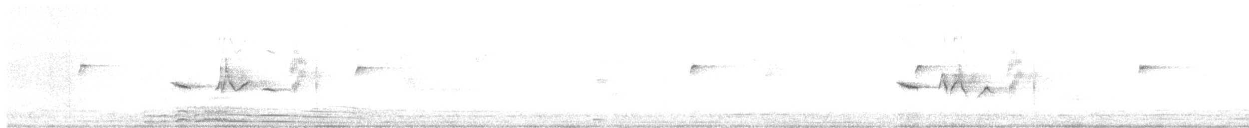 White-bellied Redstart - ML612978791