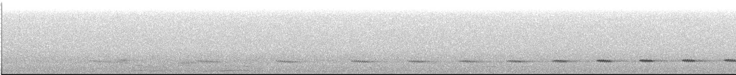Каштановый скрытохвост - ML612979647
