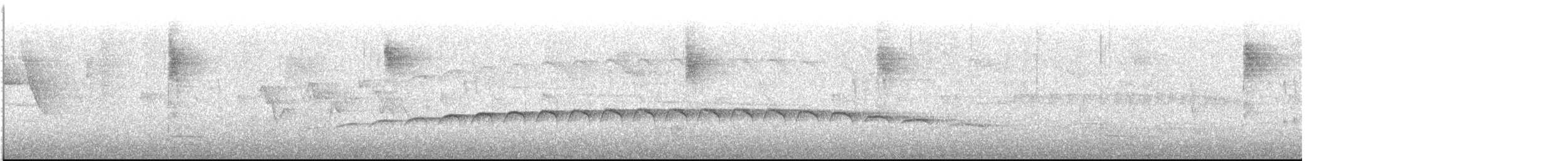 Large-tailed Antshrike - ML612980019