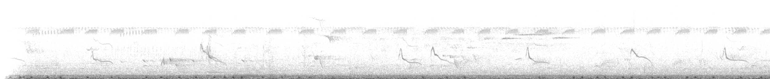 Gallinule de Tasmanie - ML612981593