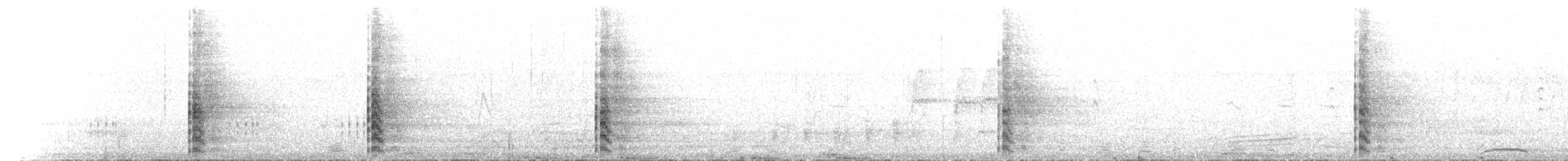 Gallineta de Tasmania - ML612982489