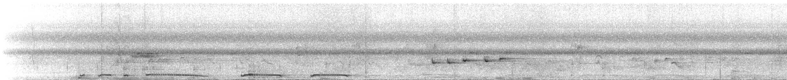 Spotted Dove - ML612983258